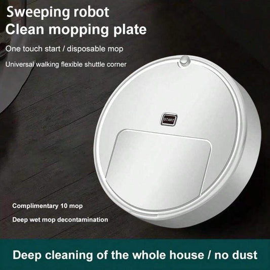 Robotic Intelligent Vacuum Cleaner